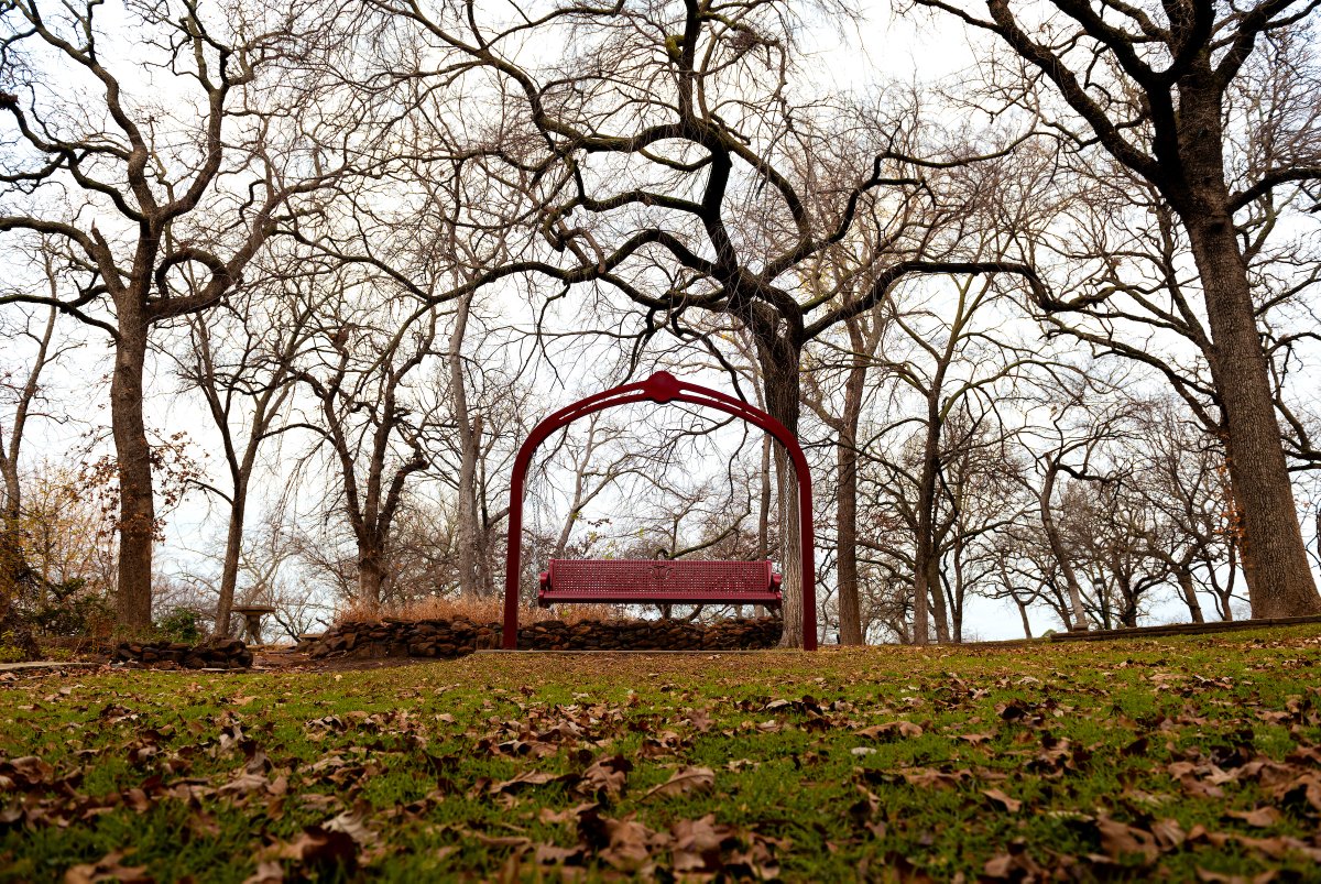 Winter at TWU. ❄️