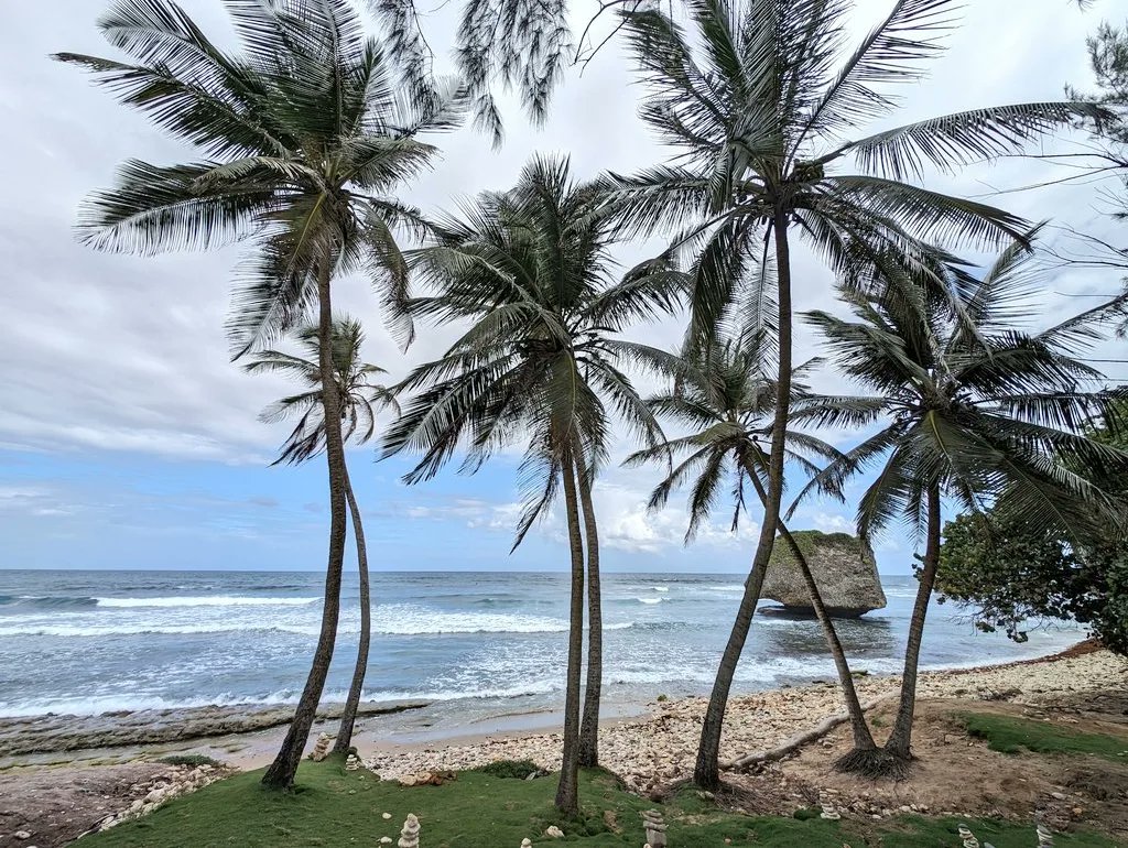 daldred007's tweet photo. Jan 6
6/365
007 is out and about again!
Today a @pandocruises Coast to Coast panoramic scenic tour of Barbados with a stop at Bathsheba Beach on the east coast to admire the Atlantic Ocean.
#shipshots #Arvia #Barbados #Caribbean #beach #cruise #pandocruises #atlanticocean https://t.co/j11KaPVst7