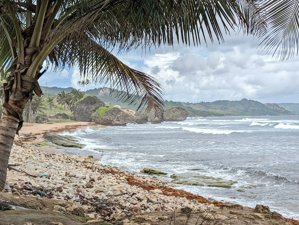 daldred007's tweet photo. Jan 6
6/365
007 is out and about again!
Today a @pandocruises Coast to Coast panoramic scenic tour of Barbados with a stop at Bathsheba Beach on the east coast to admire the Atlantic Ocean.
#shipshots #Arvia #Barbados #Caribbean #beach #cruise #pandocruises #atlanticocean https://t.co/j11KaPVst7