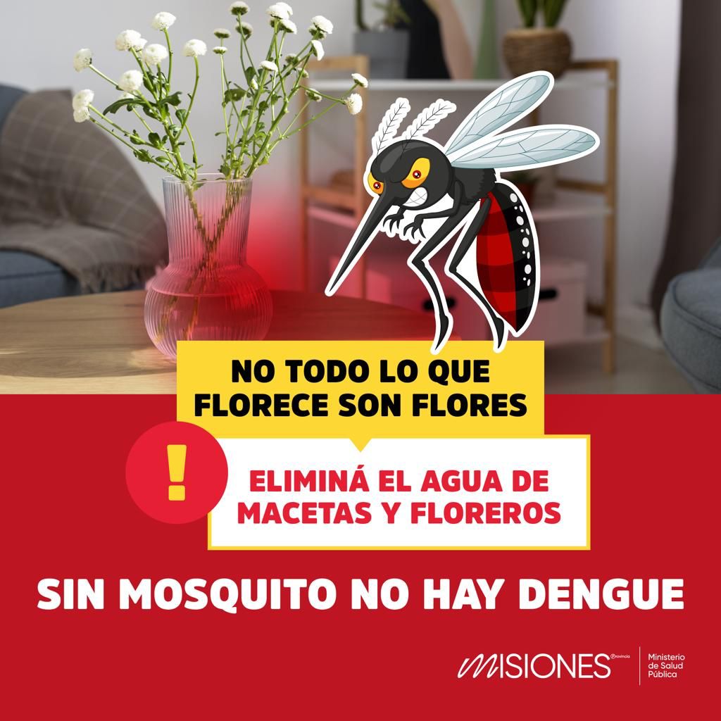 Desarrollo Social Misiones tweet media