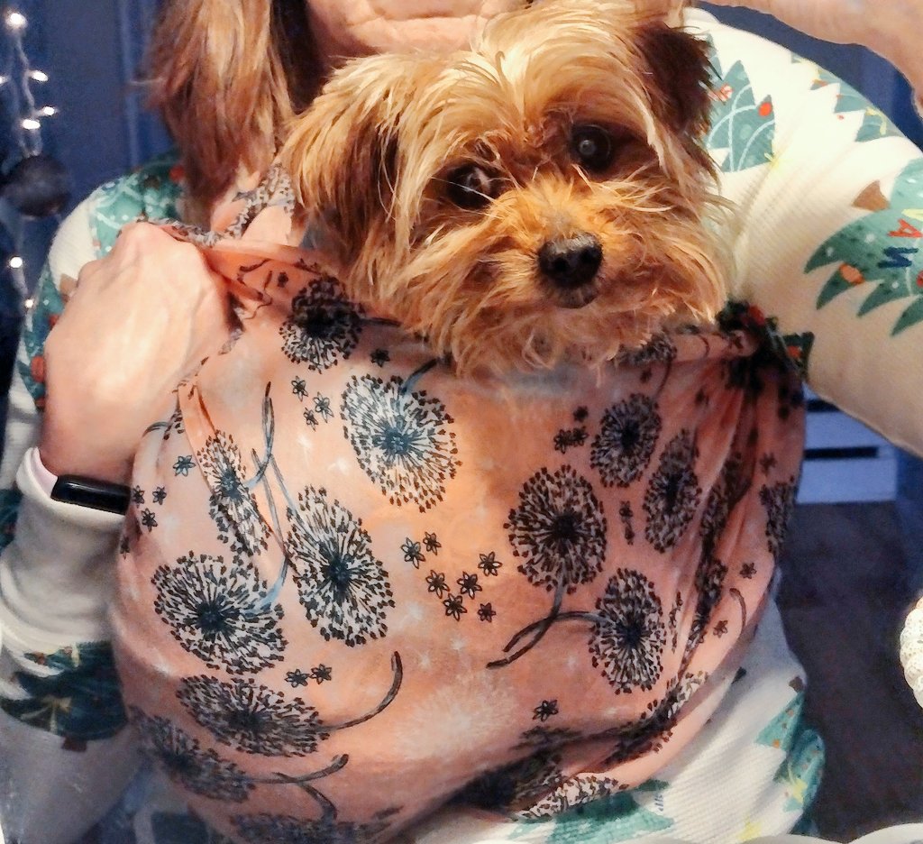 CLDBorn's tweet image. 