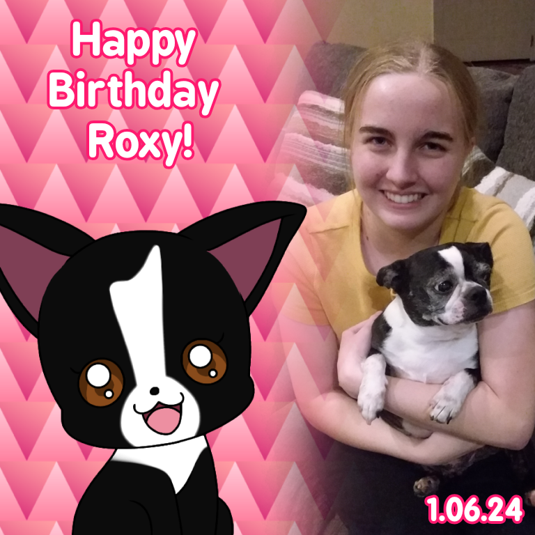 whitneygolucky's tweet photo. Happy Sweet 12th Birthday to my lovely dog: Roxy! 🥳🎊🎉🎂🎁🎀🎈💖 It's also my brother Tyler's birthday too. Please wish Roxy and Tyler a Happy Birthday! #RoxyTheDog #FemaleBostonTerrier #BostonTerrier #HappyBirthdayRoxy https://t.co/2KF4gmjC5p