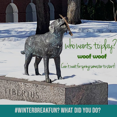 lakeeriecollege's tweet photo. Tiberius can't wait for spring semester to start so he can see all our wonderful students again! What did you do? Let us know! #winterbreak #winterbreakfun #LEC #LECfun https://t.co/2hR57AcXcQ