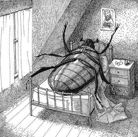 ketayvolteret4's tweet photo. el mismo Gregor Samsa @irespaider https://t.co/kX3idnVSX0