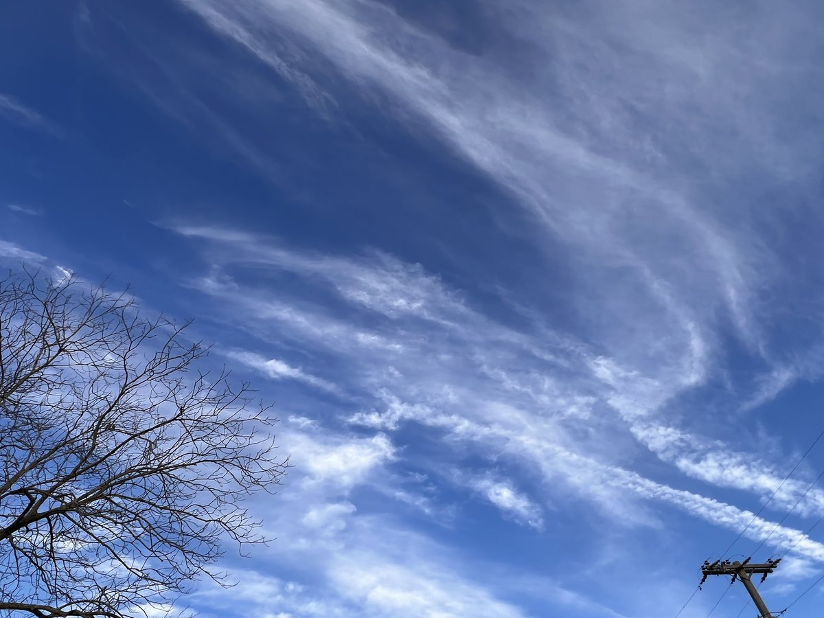 Clouds are very interesting and intriguing this evening…wispy vibes…
#cloudspotting
#cloudappreciationsociety