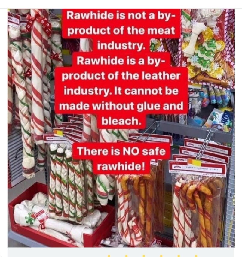#OTLFP 
PLEASE avoid the rawhide chews &amp; treats for your pets! THEY ARE NOT SAFE! They are NOT a byproduct of the meat industry but instead are a byproduct of the leather industry. 👉THEY ARE NOT SAFE FOR YOUR PETS 👈 😱⚠️🚫‼