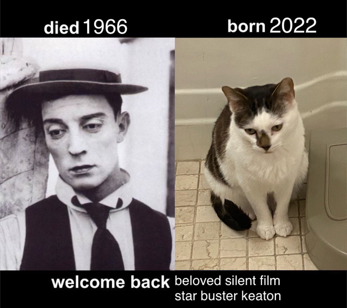 AND buster keaton