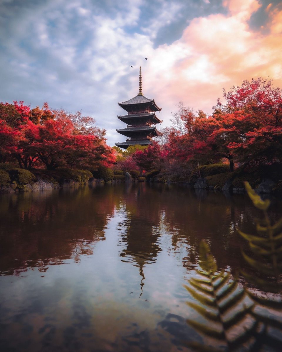 RaminNasibov's tweet photo. Autumn in Kyoto https://t.co/qnoDaYpPb9