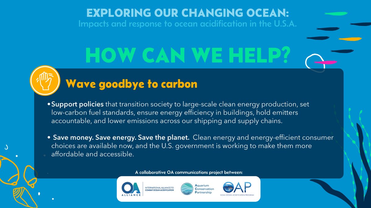 OA_Alliance's tweet photo. WHAT ACTIONS WE CAN TAKE to protect the  #ocean and #marinelife from #ClimateOceanImpacts in 2024?

👋Wave goodbye to carbon!  Save money. Save energy. Save the planet 🌍

#OAAction #ClimateOceanAction 

Learn more at Monday's launch of Exploring Our Changing Ocean: OA StoryMaps! https://t.co/3rH6DySfyc