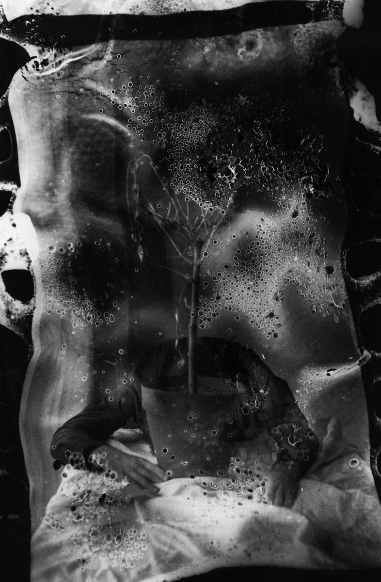 Hi everyone.🤍After a long time i have minted a new work!

Untitled
10/11 eds - 5 xtz

Link below!