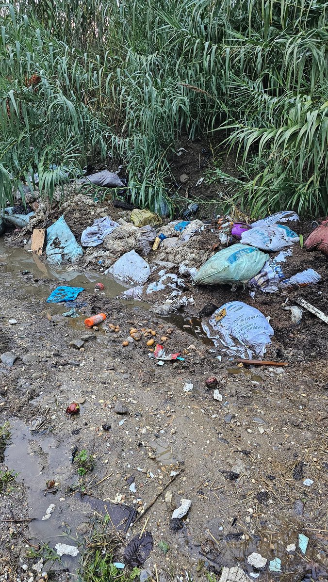 Özlem Özar 🦋🧚‍♂️ 🐾 🤗 💞 tweet media