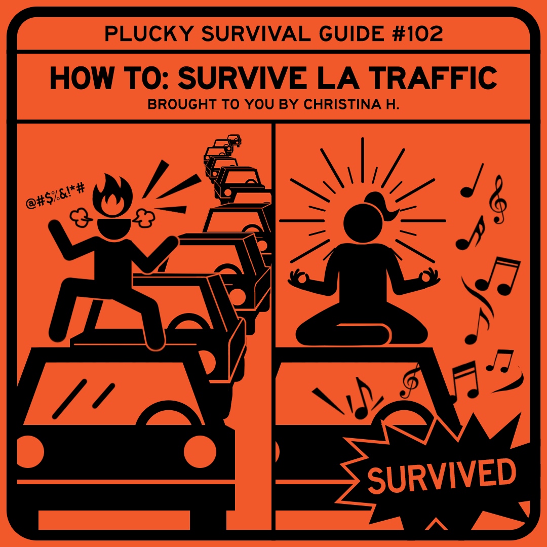 PluckyLLC's tweet photo. Ah, LA. Lot's of sun, lots of people lots of.... traffic. We've all been there– late to work or to drop your kids off at school, and we all have thought about the different ways we could deal.  Sure, we *could* get on top of our cars and scream at the no-blinker knuckleheads t... https://t.co/PvdIxKYK60