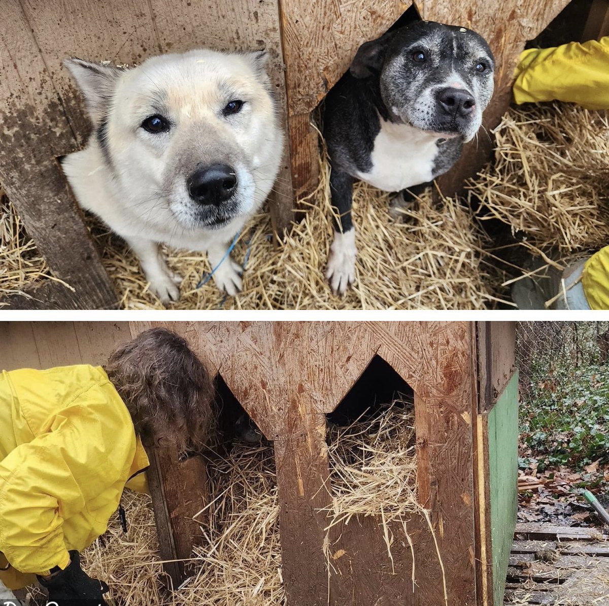 Beyond Fences tweet media