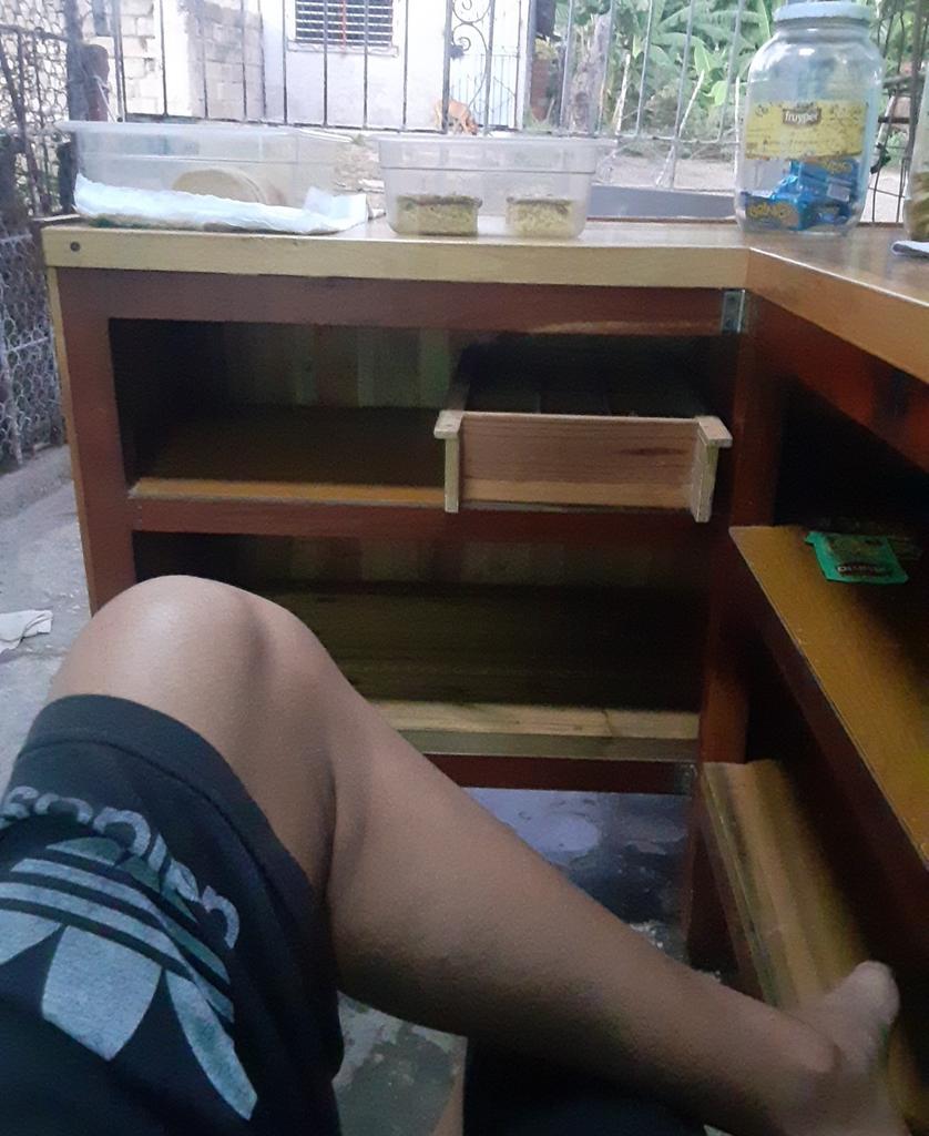 Sen2free tweet media