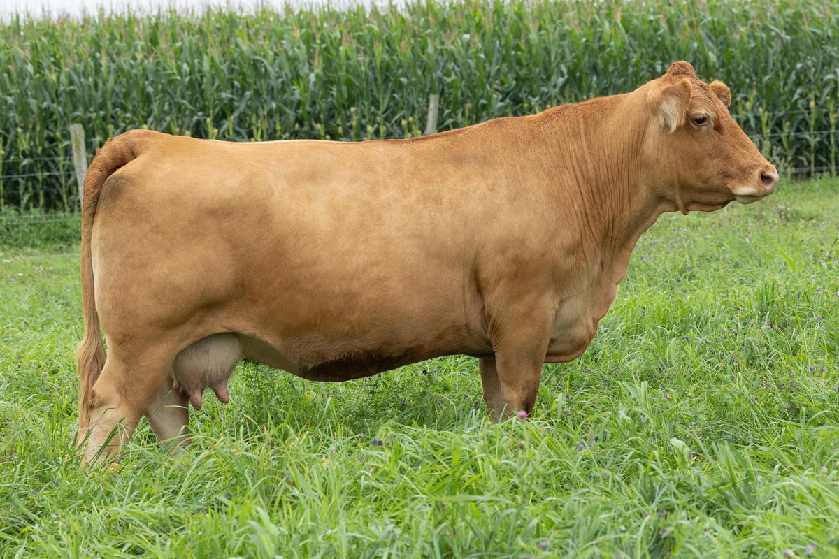 Justin Burgess tweet media