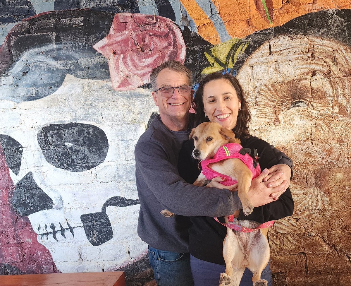 tacmanDC tweet media