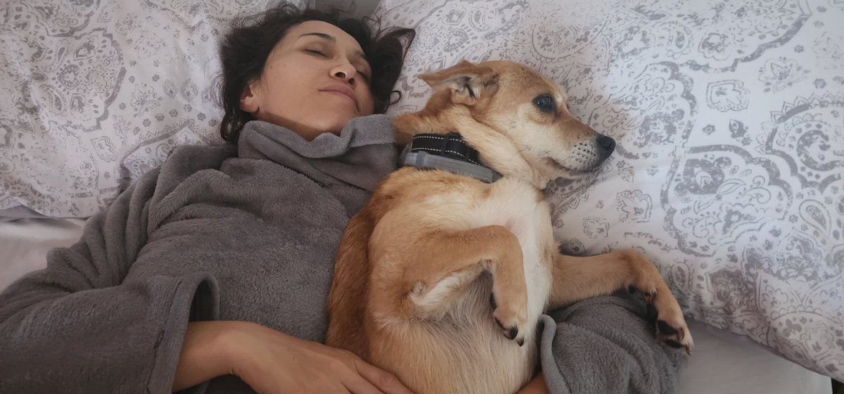 tacmanDC tweet media