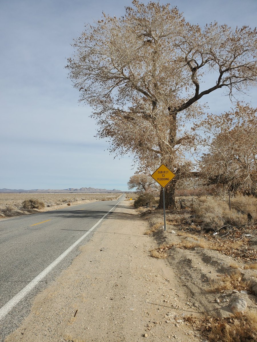 dougstrangemuse's tweet photo. A road trip of contemplation, small California towns https://t.co/eD1u2APLqC