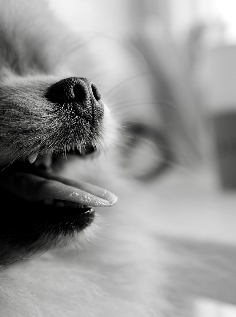 grantandy tweet media