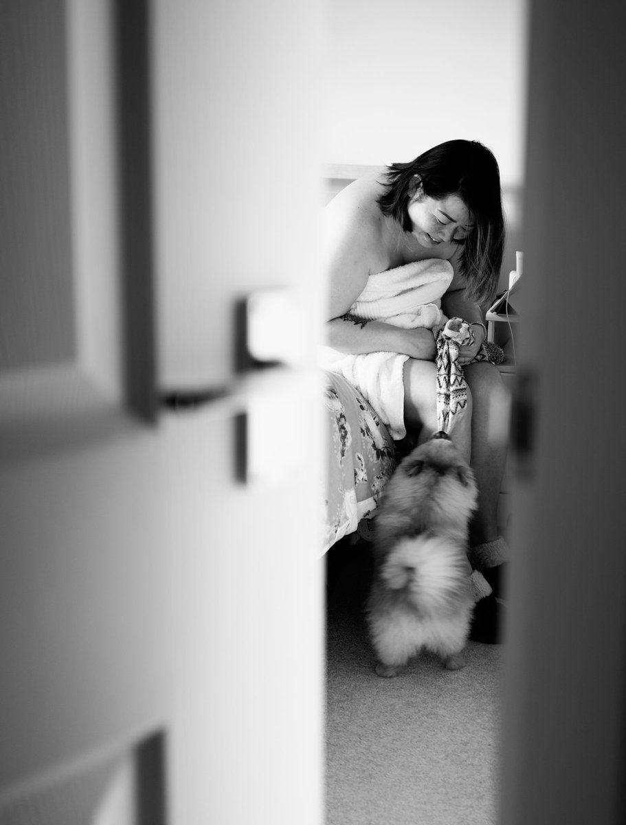 grantandy tweet media