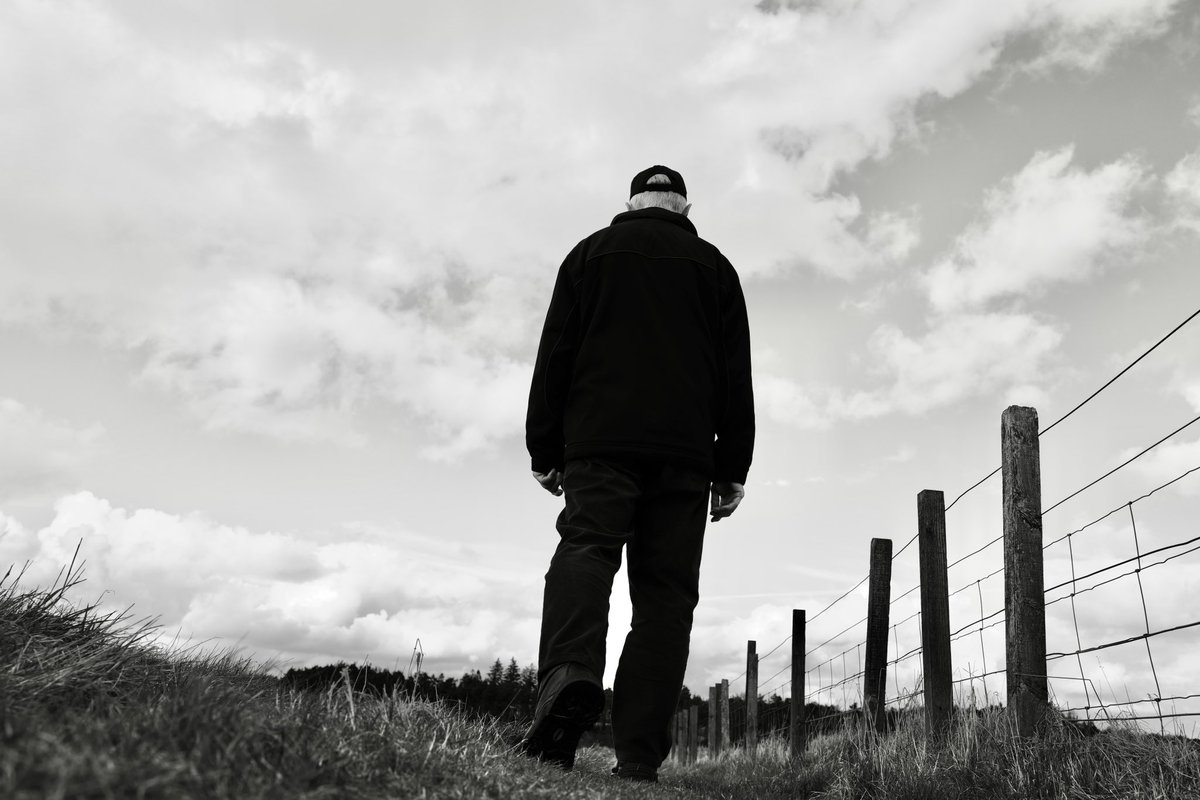 grantandy tweet media