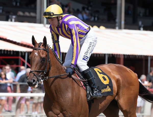 Long Leaf Stable tweet media