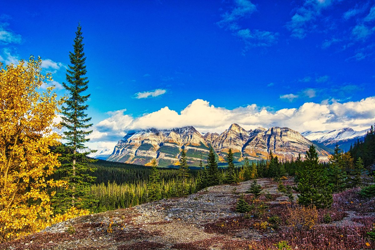 TerraEncounters's tweet photo. Drive to see beautiful views. Explore the wonders of the Canadian #Rockies at
https://t.co/LiGtUcQzw3
#travel #Canada #hiking #mountains #nature #exploreAlberta #HelloBC #ExploreBC #wanderlust #roadtrip #travelblogger #traveltuesday #ttot #scenery #blogpromotion https://t.co/UjWYz2R1L0