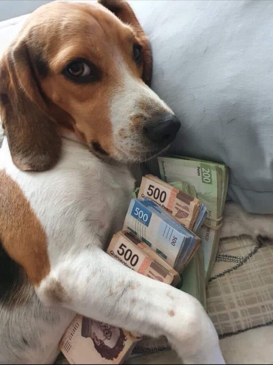 “que necesitas para ser feliz”

yo: