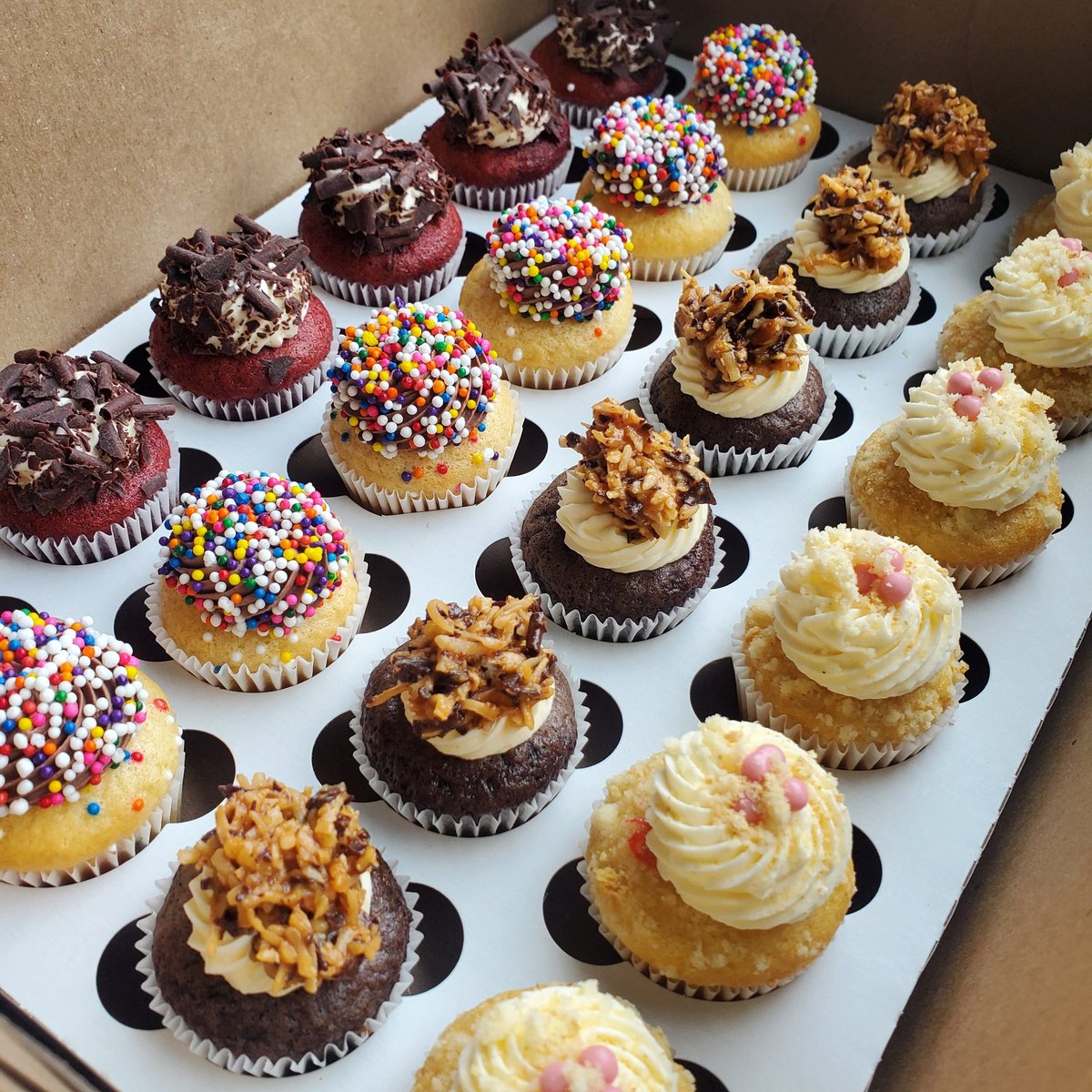_KillerCupCakes's tweet image. Killer Cupcakes bite size MINI&apos;s  killercupcakes.ca 

#killercupcakes
#bitesize #minicupcakes #guelph #cupcakes #dessert #bakery #bakedgood