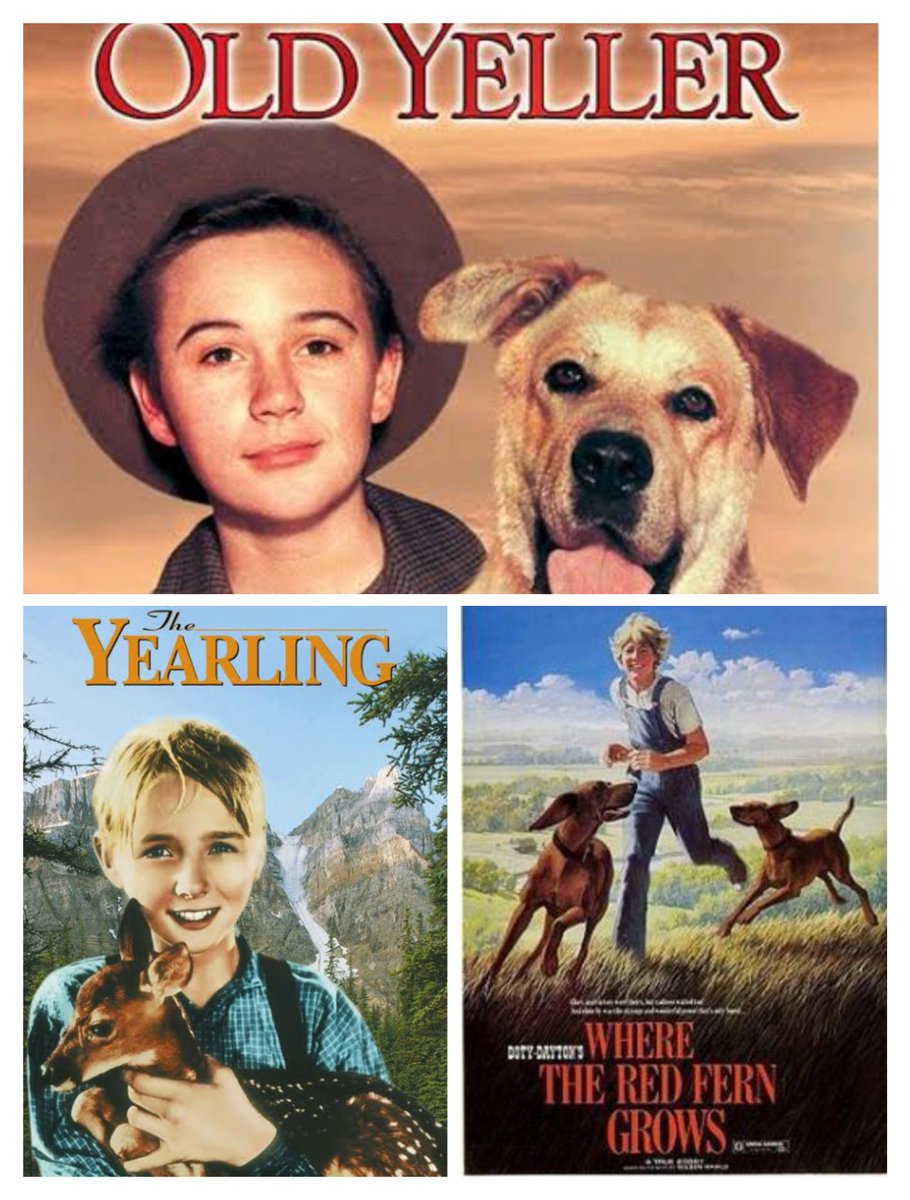 erryn_lee's tweet photo. I was just remembering childhood trauma. Who else remembers these films being played every year? Which hurt you most? Or did you not cry? #sadmovies https://t.co/UNMDQYfc4l