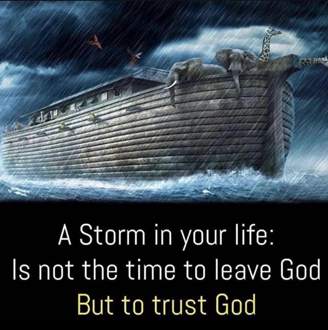 RedPillPrints's tweet photo. #TrustGod https://t.co/RCTzUXoSDA