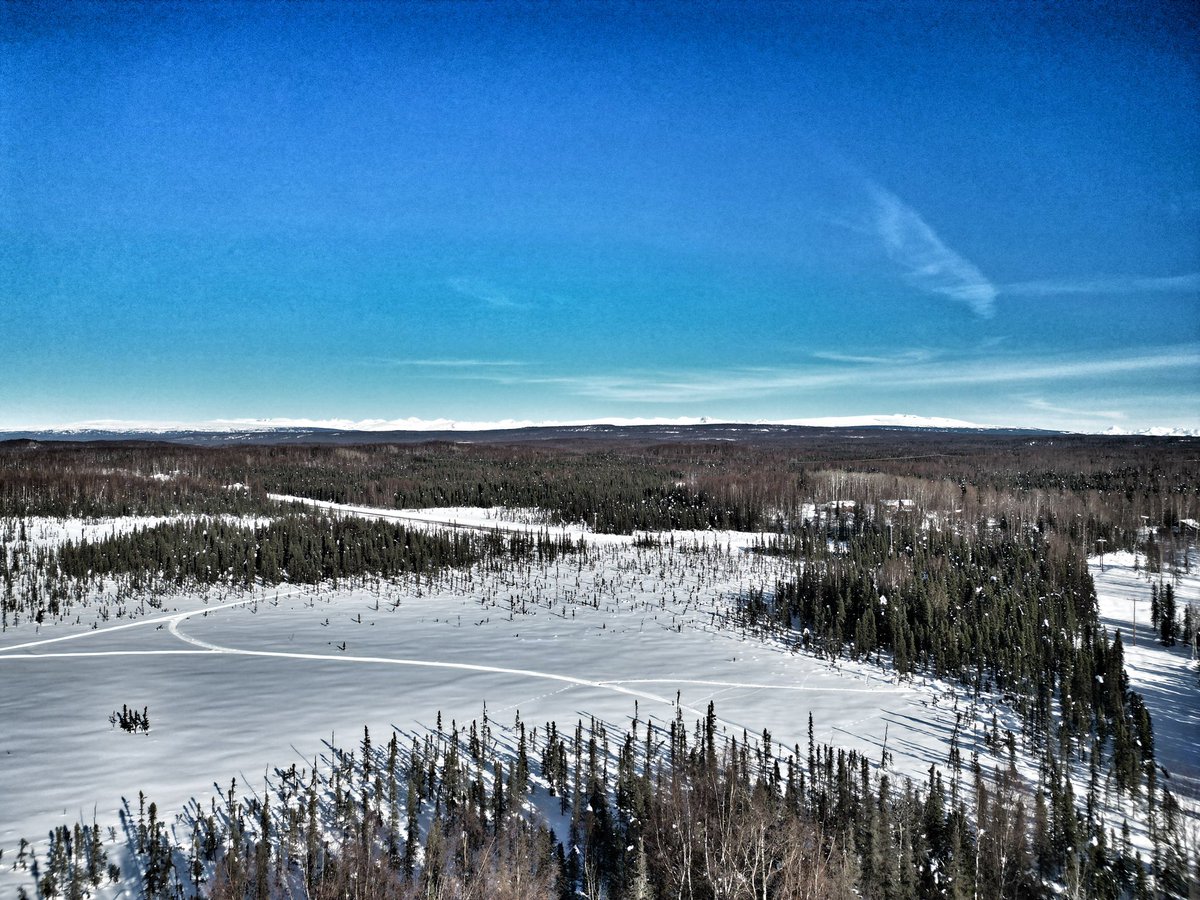 teamineka's tweet photo. Our outbound trails with the Talkeetna Mountains to the east.

#sleddogs https://t.co/AlC6PVw6ez