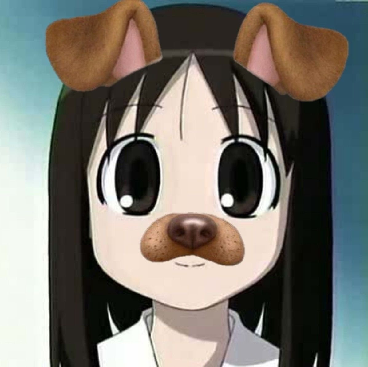 schizoheca's tweet photo. https://t.co/X06UtdvSIt