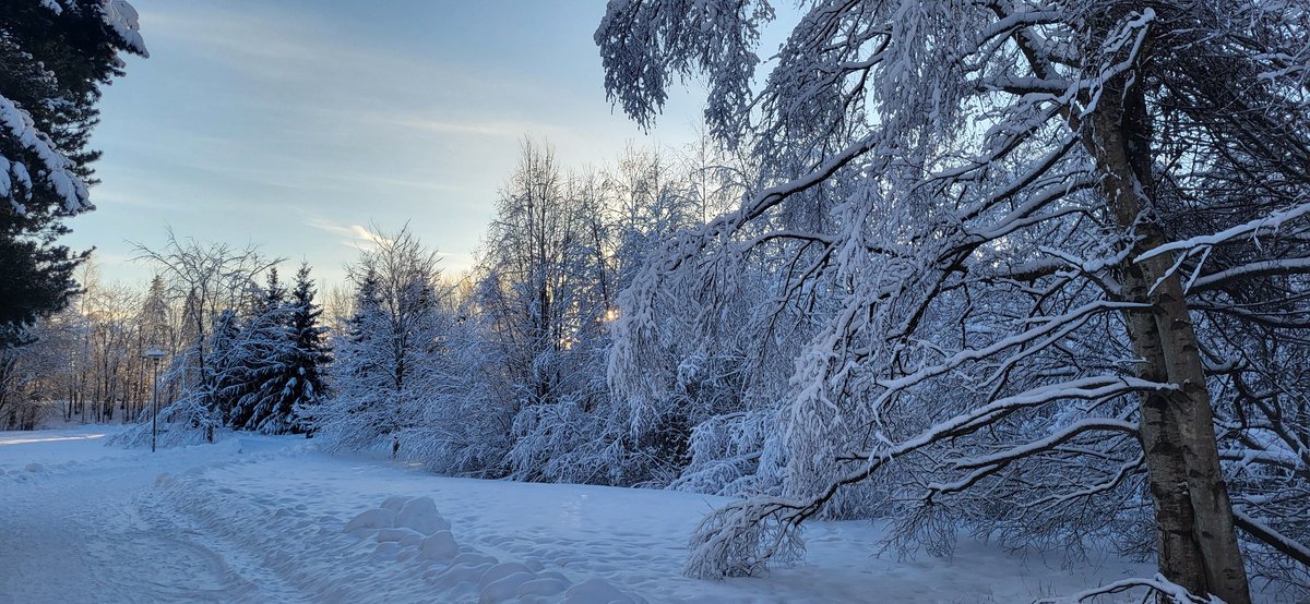 lottaskimo's tweet image. Espoo, Finland, - 17°