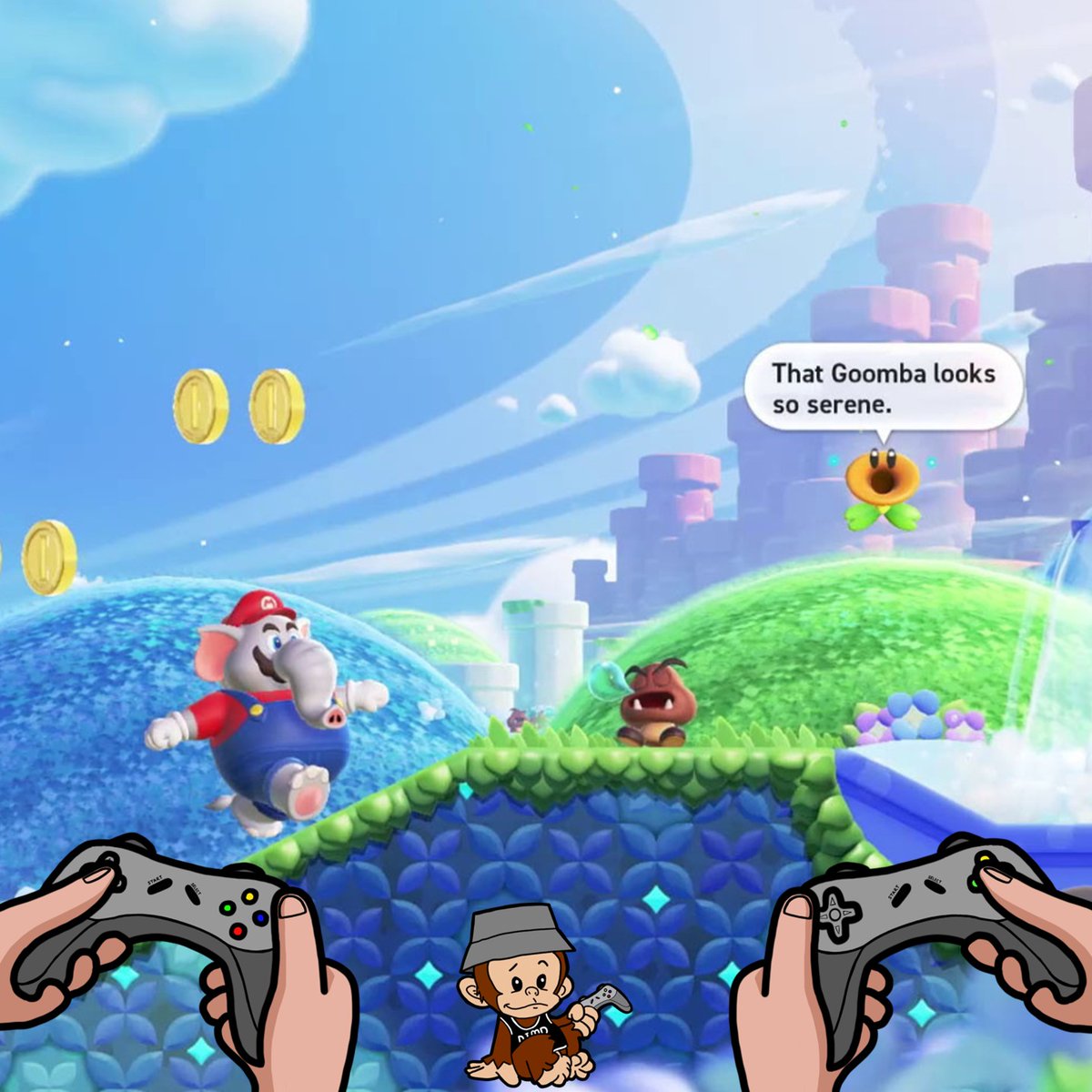 Dimp Digital tweet media