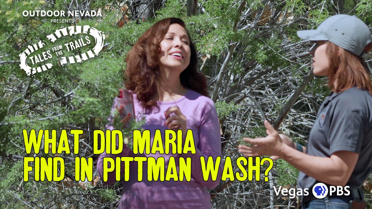 🏞️ Explore Henderson, NV's trails with host <a href="/MariaSilvaVegas/">Maria Silva</a> on Outdoor Nevada's Tales From The Trails! 🚶‍♂️ Discover the beauty of Pittman Wash Trail! 🌳 Watch the digital series now: bit.ly/41JIC7h 🌟 #OutdoorNevada #TFTT #VegasPBS