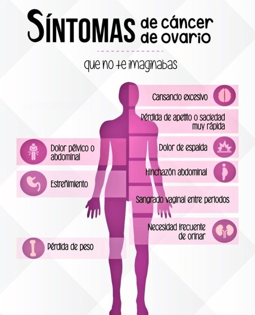 DigesaludFANB's tweet photo. 🗣 Conoces ¿cuáles son los síntomas del Cáncer de ovario?.

#DigesaludFANBCuidaTuSalud https://t.co/59pPiSnX8R