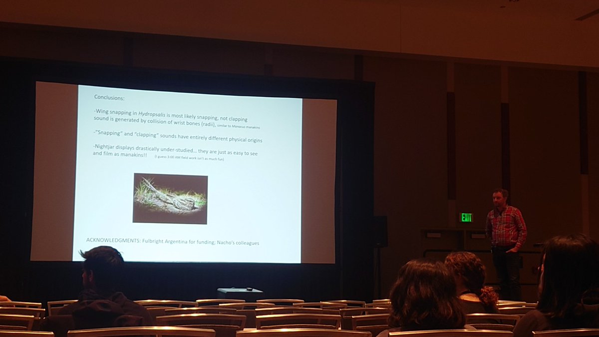 robotjasmin's tweet photo. It always brings me so much joy to attend a talk by @Selasphorus1. Birds make the coolest sounds with their wings! #SICB2024 https://t.co/3jZQhsraia