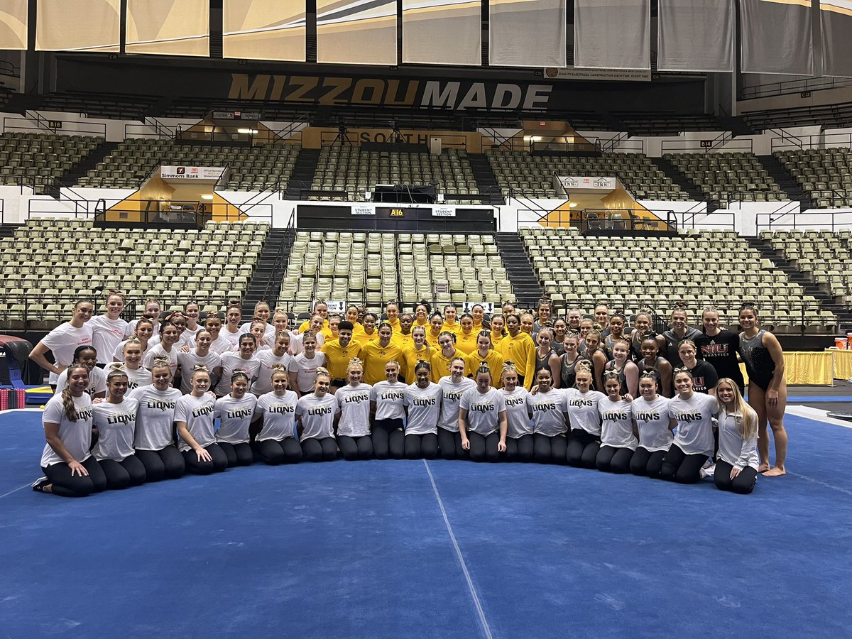 MizzouGym's tweet photo. Tonight, we compete for more than just us 🐯🦁

In solidarity with @LionsGymnastics, we are wearing Lindenwood gold ribbons in an effort to #savelindenwoodgymnastics ❤️

#MIZ🐯 https://t.co/pStSLeOfq6