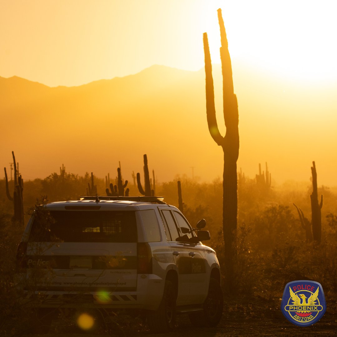 joinphxpd's tweet photo. Sunsets, saguaros and satisfaction. A career that offers it all. ☀️ 🌵 👮 
Get started today and apply now at the link in our bio or at https://t.co/82f7HyxtQa

📷 @the_krypton_chronicles
#JoinPHXPD #Phoenix #AZ https://t.co/8vfpamz0ti