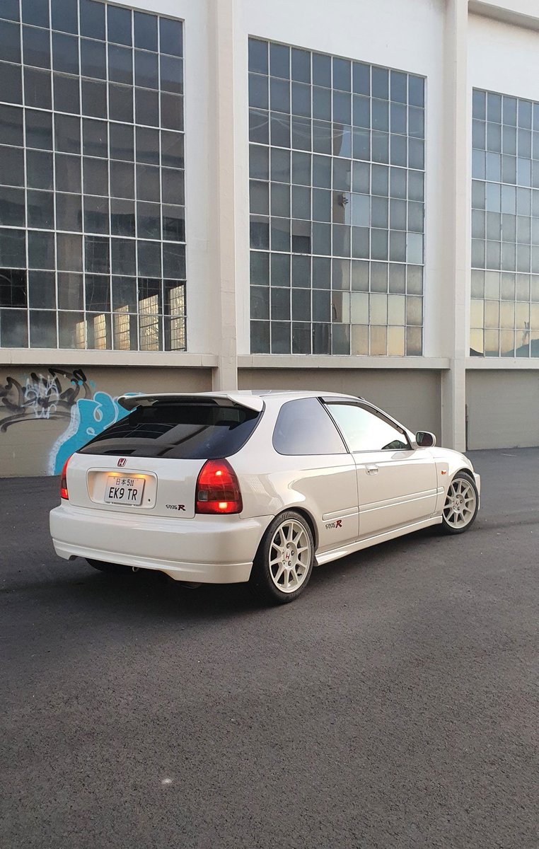 Tofupapi | ❌❌ tweet media