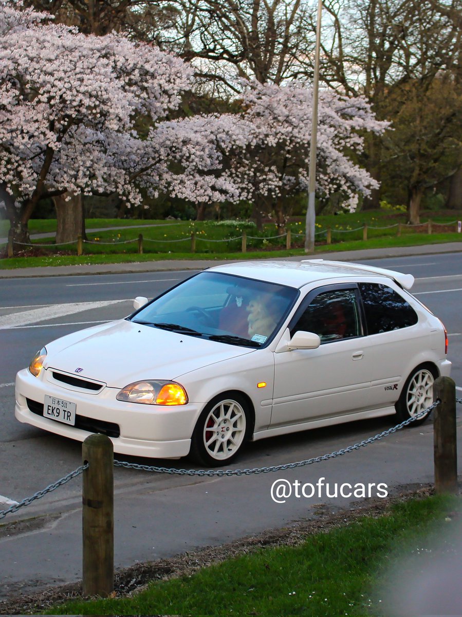 Tofupapi | ❌❌ tweet media