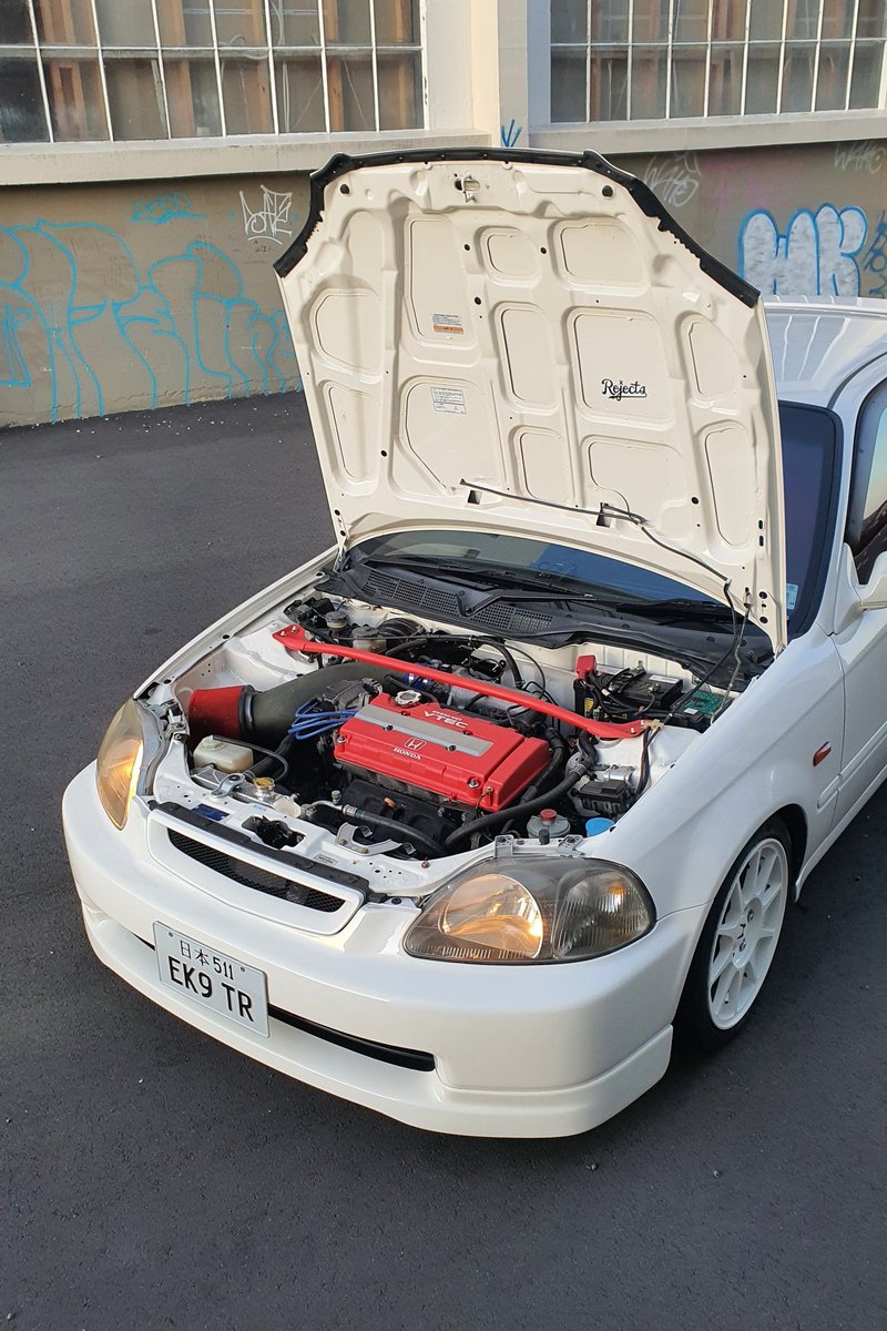 Tofupapi | ❌❌ tweet media