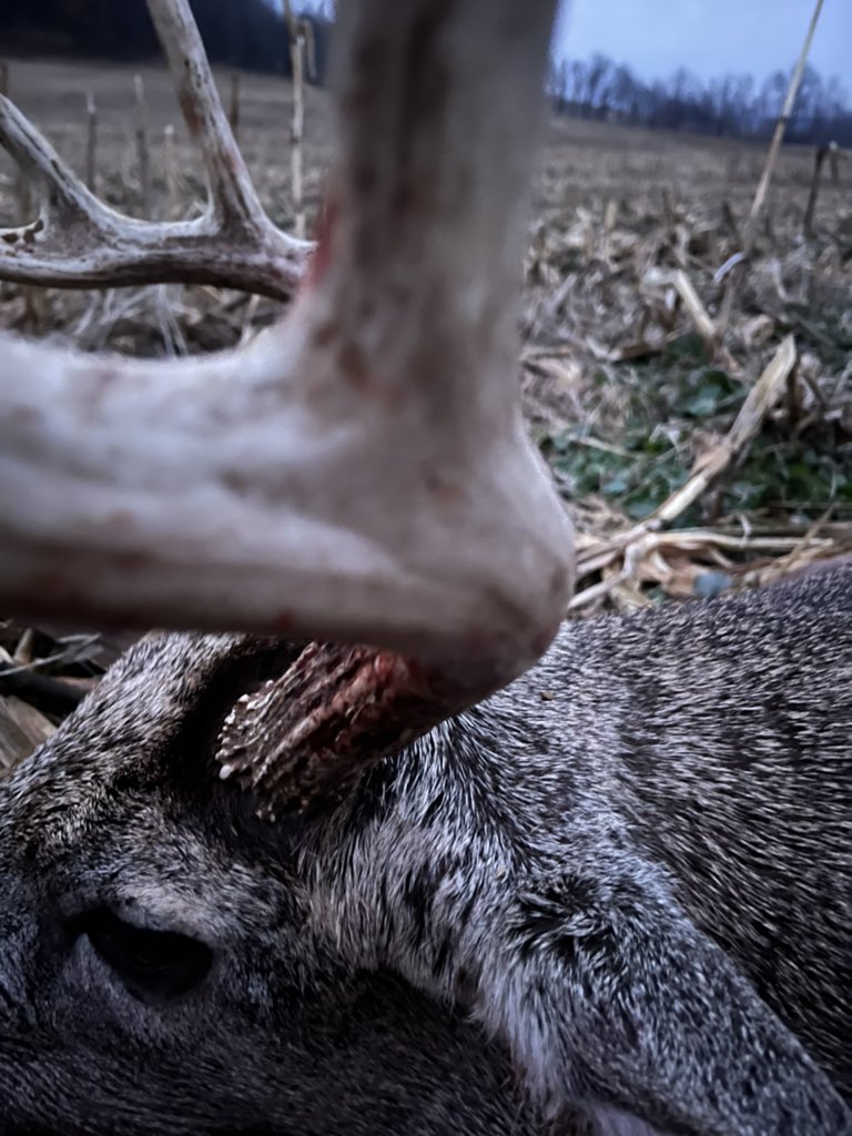 C Christman tweet media