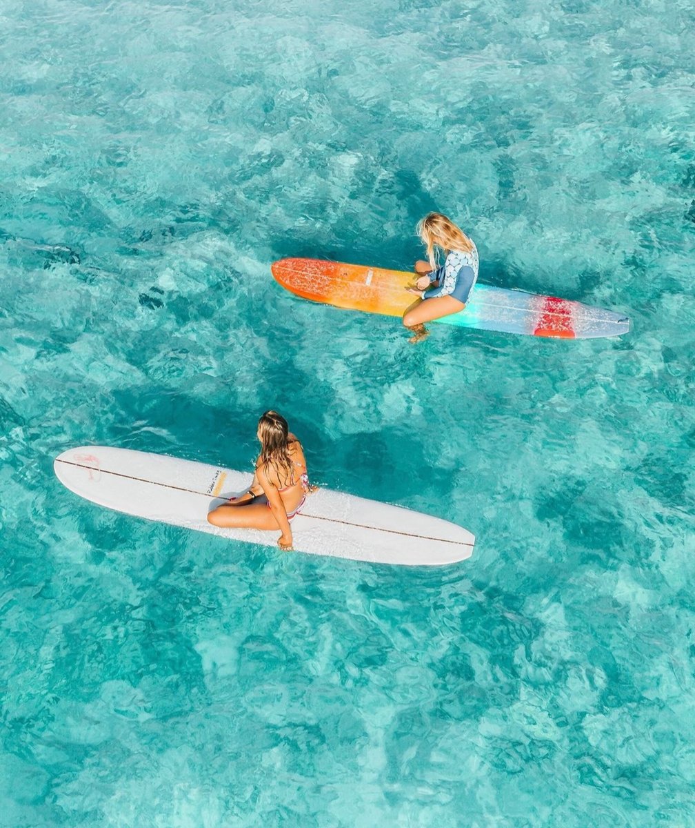 WaikikiBeachWlk's tweet photo. Surfing into #AlohaSaturday! πββοΈπβ¨ The weekend is here, and itβs time to ride the waves of relaxation and fun. Catch that aloha spirit and make the most of your Saturday here in Waikiki π€π½π΄
πΈ @adventures_ofjess https://t.co/xOHiTcoISn