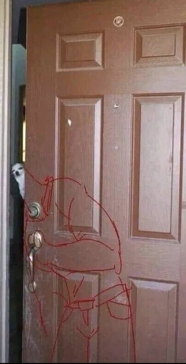 bravo-go-bang-bang tweet media