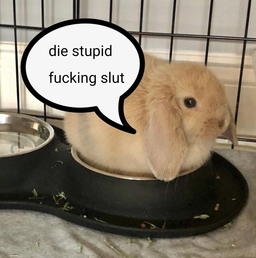 andrei (@gorysilly) on Twitter photo 