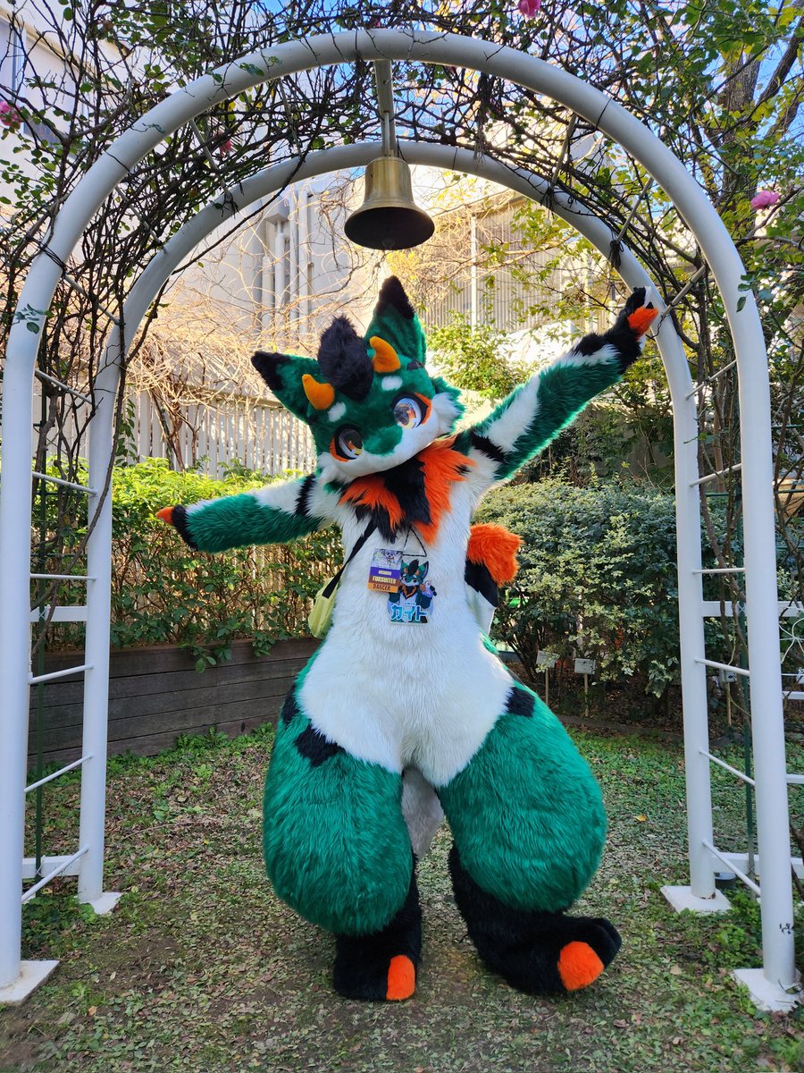 mano_4171's tweet photo. 朝からこんなにかわいい子見てうれしい
#JMoF2024 https://t.co/ZJZqzAESNe