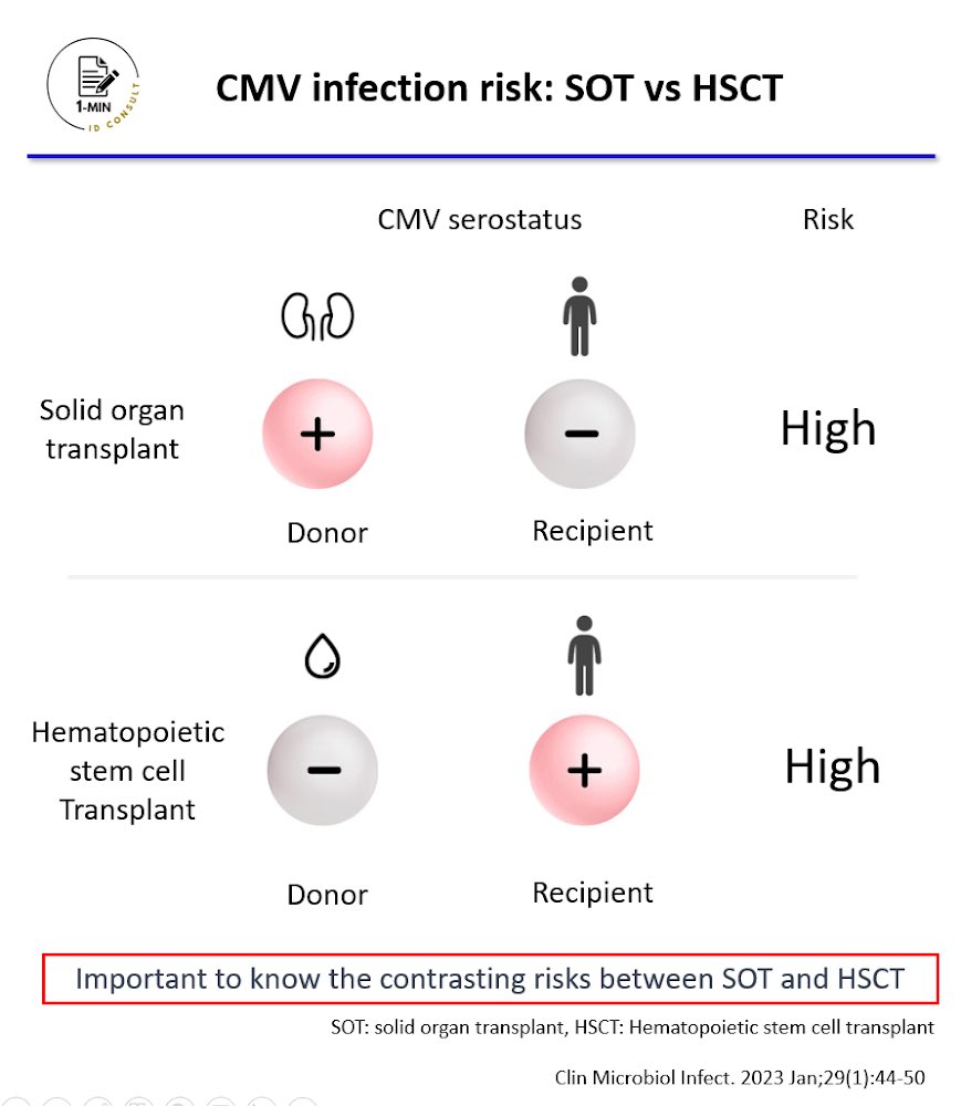 【CMV infection risk: Solid organ transplant vs Hematopoietic stem cell transplant】

Let's understand D+/R- being the highest risk in SOT vs D-/R+ in HSCT!

Level: Intermediate

#IDMedEd #IDFellow #TxID #Cytomegalovirus