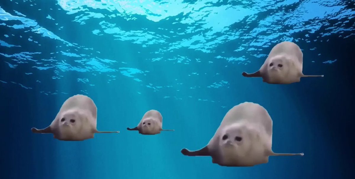 bouncing_seals's tweet photo. $SEALS is applying for jupiter listing @JupiterExchange 

Name: Bouncing Seals

Mint Address: 691grMwoYJK4uWV5ga4r6Q3fx8nyAdwWcr3JSsaqfYM

Symbol: SEALS https://t.co/8zV6hXOF9A